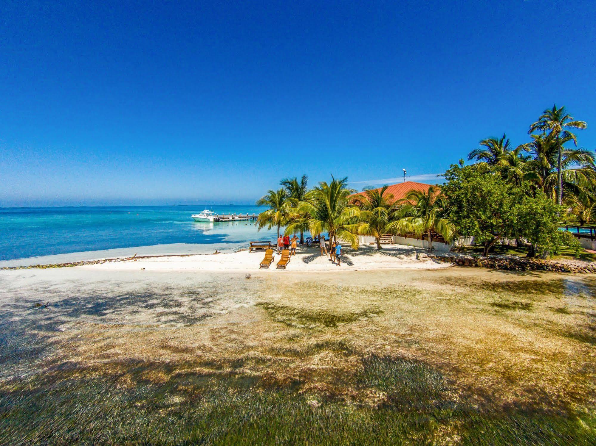 Hatchet Caye Island Resort (Adults Only) Placencia Exteriér fotografie